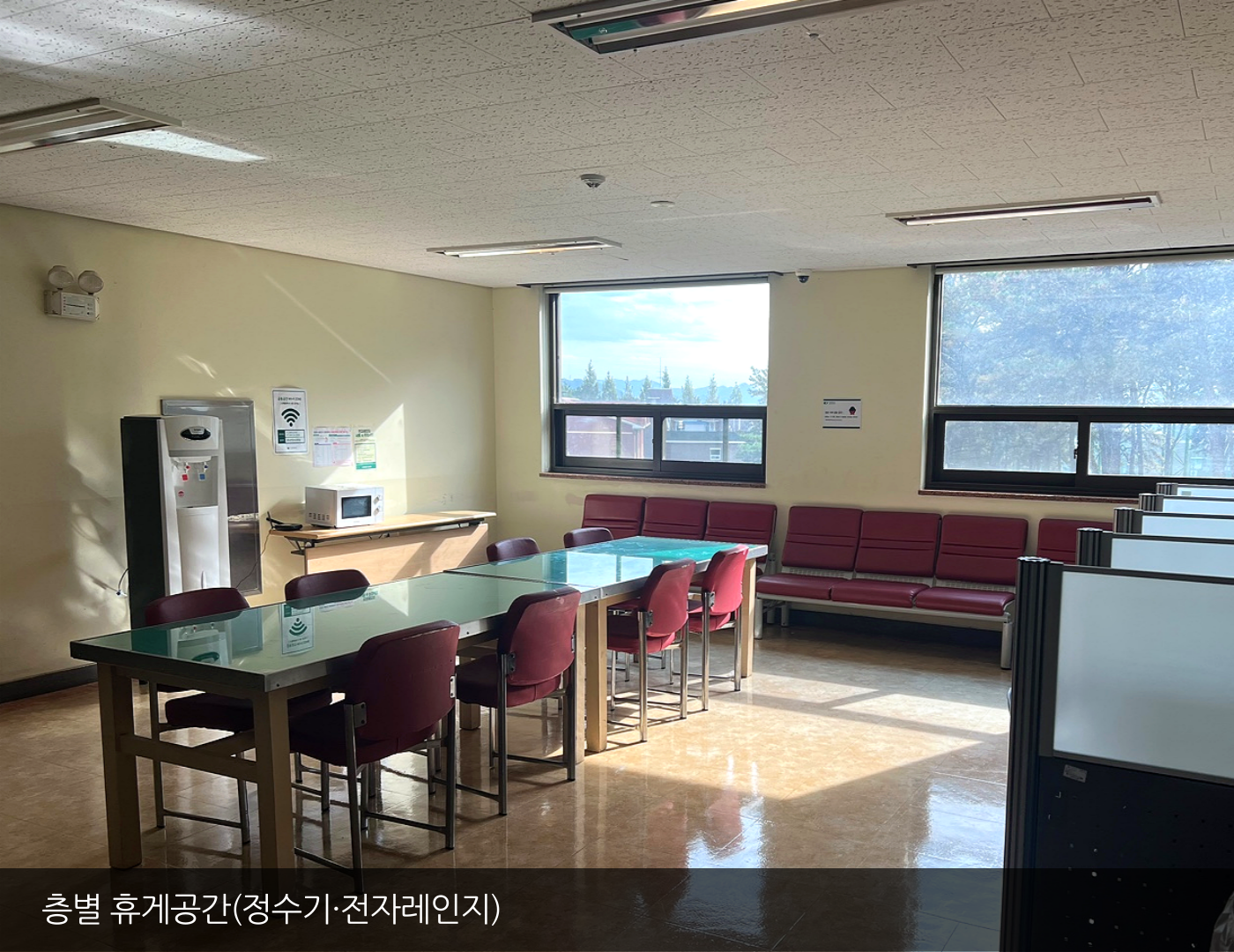 썸네일 사진